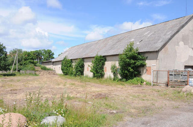 Kaip dvaro karvidė virto malūnu