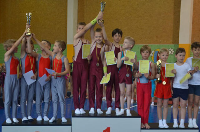 Klaipėdoje gimnastai išsidalijo laurus