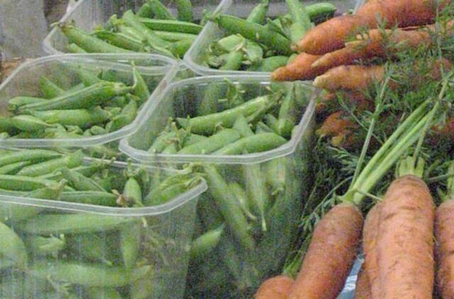 Pupų ir žirnių augintojai baiminasi ilgo lietaus