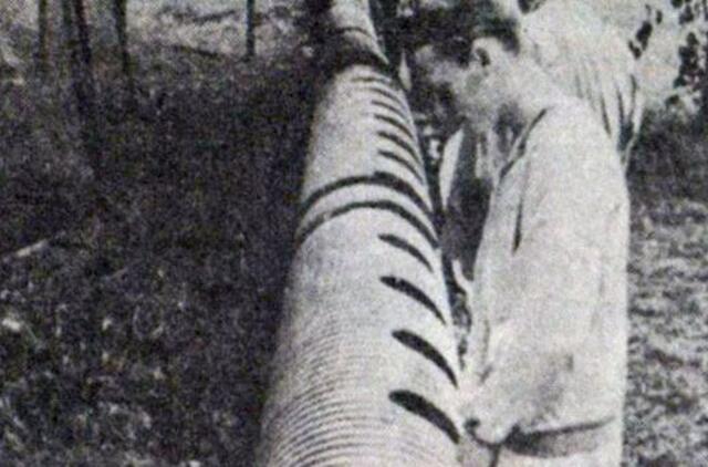 "Vakarų ekspresas". 1991 07 30