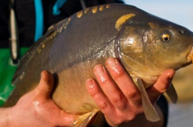 Nemokamos žvejybos dienos