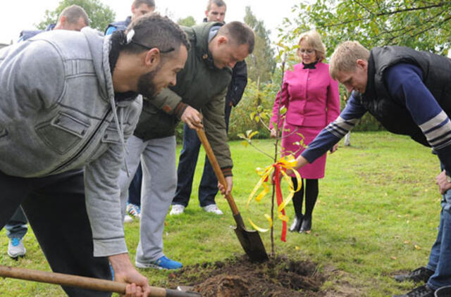 Augalų sodinimas: naujose taisyklėse nieko naujo?