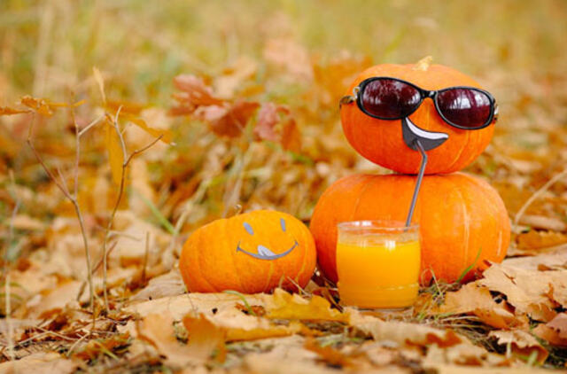 Rudens spalvų galia