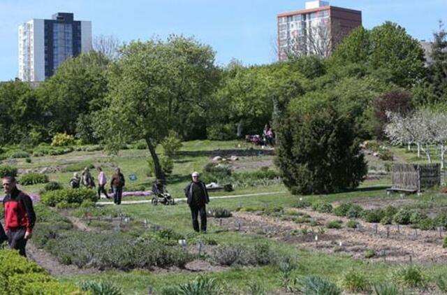 Savaitgalis: renginių lyg per Jūros šventę