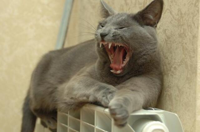 Vilniuje prasidėjo šildymo sezonas