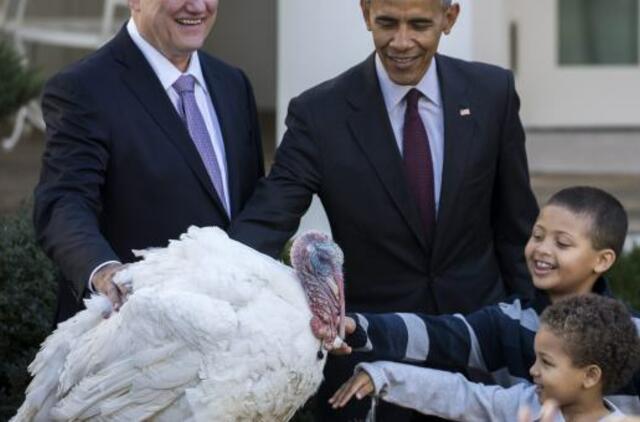 Barakas Obama Padėkos dienos proga paskutinį kartą suteikė malonę dviem kalakutams