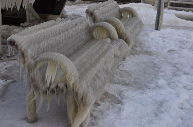 Grožis: ledo skulptūras Neringoje kuria pati gamta