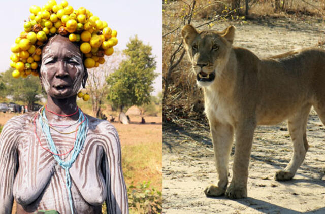 Penki mitai apie Afriką. Kas tiesa, o kas melas?