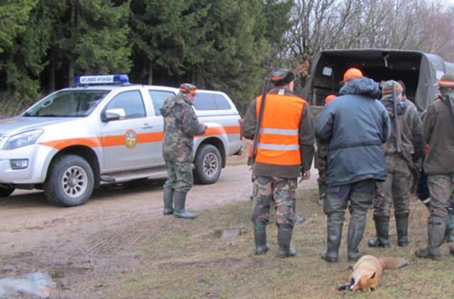 Vilkų kerštas: sudraskė medžiotojų šunį