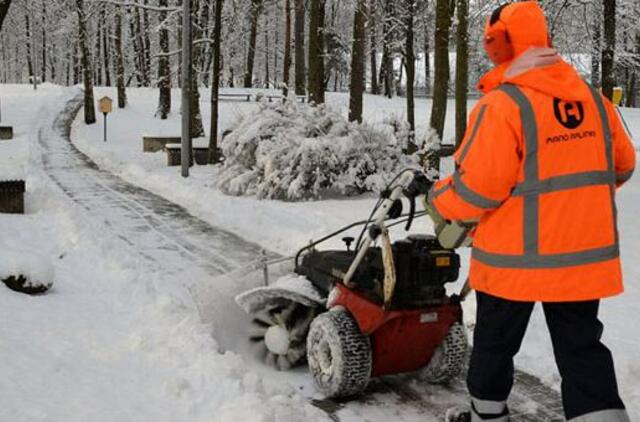 Kiemsargiai jaučiasi įveikę žiemą
