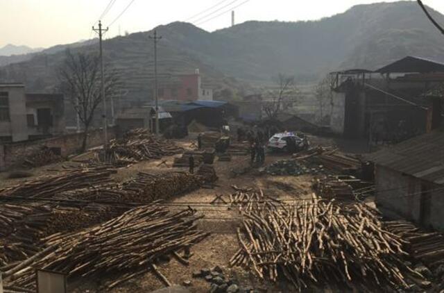 Kinija: įvykus sprogimui anglių kasykloje, žuvo 8 žmonės