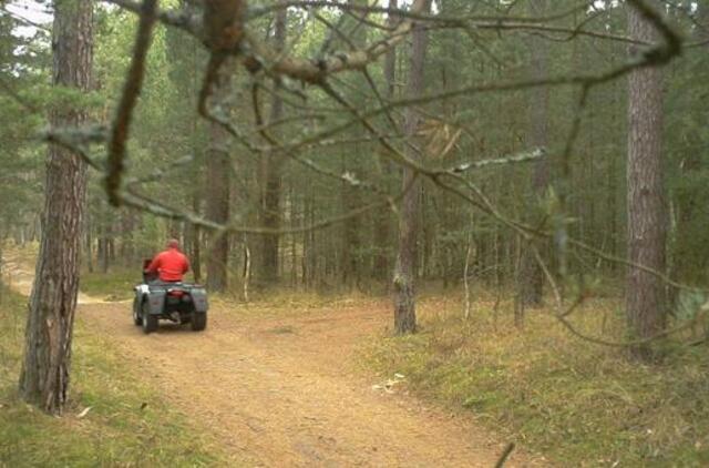 Kuršių nerijoje medžios keturratininkus