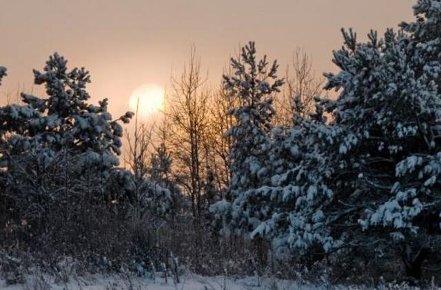 Orai: toks metas, vasario pradžia
