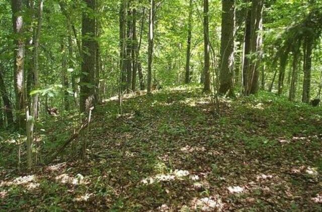 Pernai aptikti du piliakalniai bus saugomi