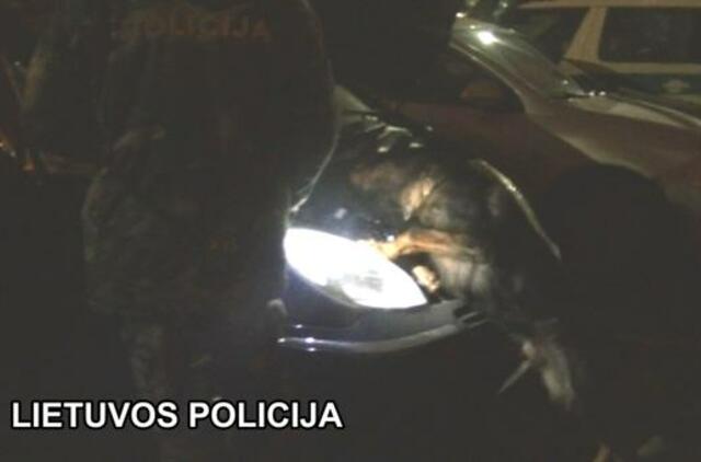 Sulaikytas narkotikų platinimu įtariamas taksistas