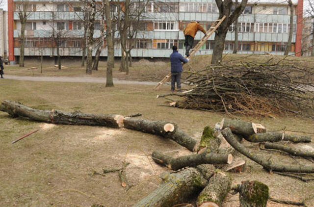 Nugenėjo, po to nupjovė