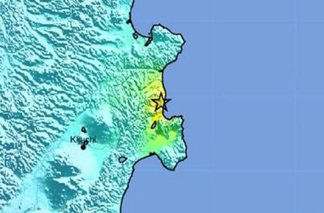 Rusijos Kamčiatkos regioną supurtė galingas žemės drebėjimas