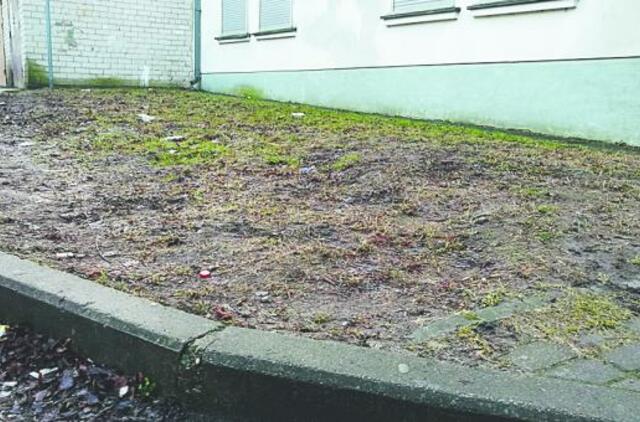 Vejos dėl automobilių neaukos