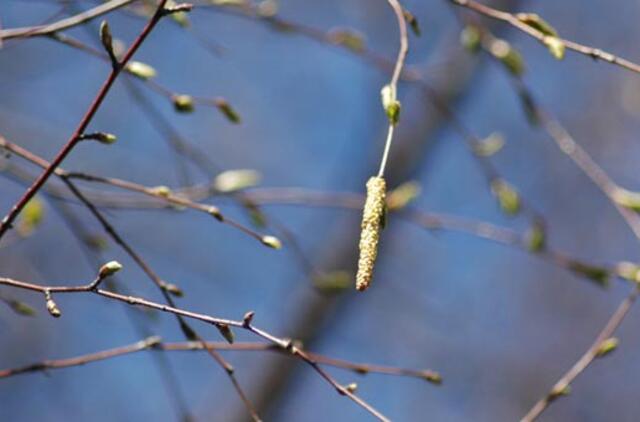 Balandis prasideda rekordine šiluma