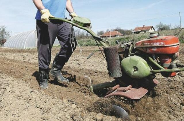 Bet kaip pasėjęs, bet ką nukasi