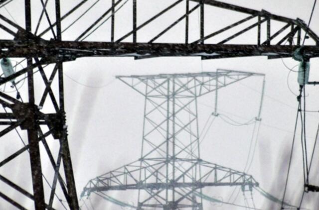 Dėl gausaus sniego elektros tiekimas buvo nutrūkęs maždaug 30 tūkst. vartotojų