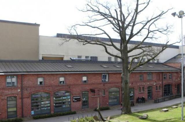 Ką byloja seniausi miesto medžiai?