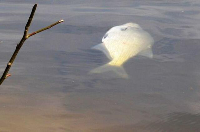 Pagavai karšį Nemuno deltos regioniniame parke - paleisk atgal