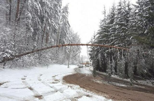 Žiemiškos Velykos: elektros vis dar neturi tūkstančiai vartotojų