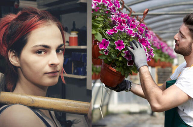 Ieškote darbo? Laisvos darbo vietos Klaipėdos regione