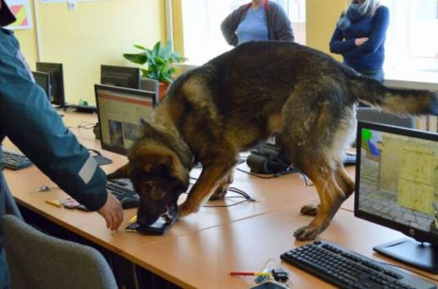 Kvaišalų baubą iš mokyklų gena šunys