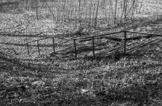 Meno skyriuje - Jevenijos Škaliovos fotografijos paroda