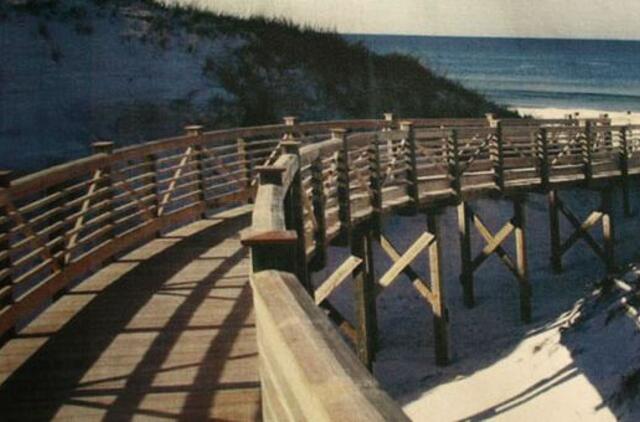 "Paukščių takas" - biurokratinėje mėsmalėje