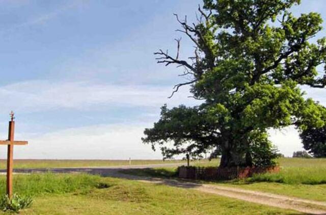 Savaitgalis su šeima. Ką dar aplankyti Lietuvoje?
