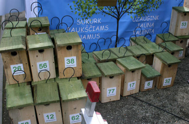 Sėkmės inkilėliai kabinami Danės skvere