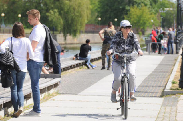 Dviračių tako projektui sukliudė... medžiai