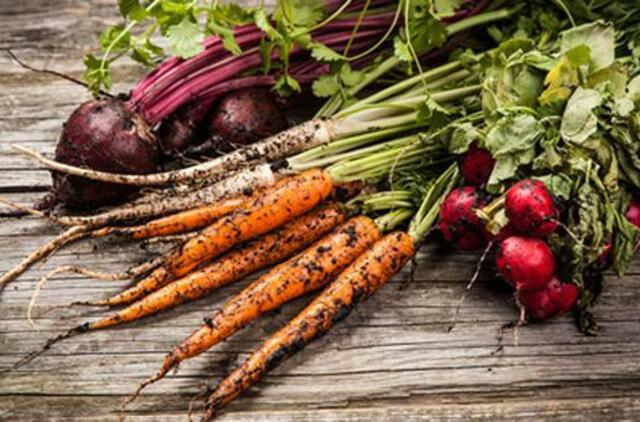 Patarimai apie sodą ir maistą