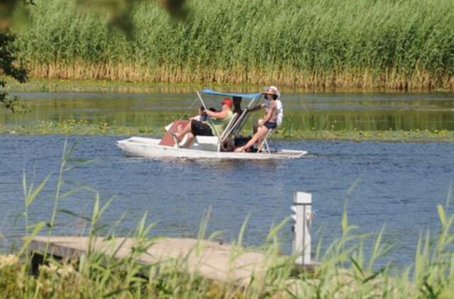 Vasara veda į šviesą ir aukštį