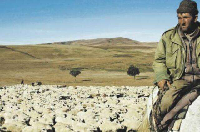 Įdomūs faktai apie Gruziją