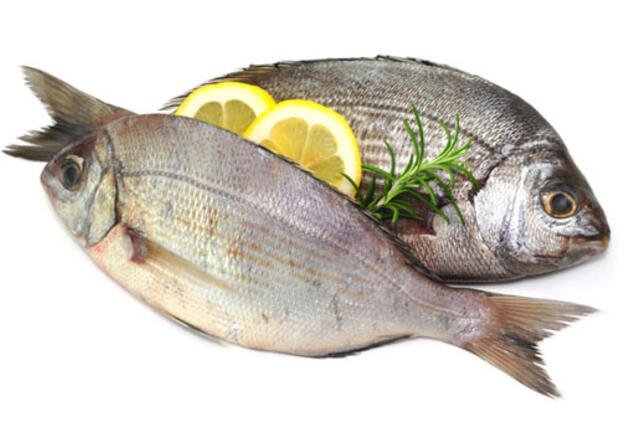 Kai organizmas reikalauja žuvies