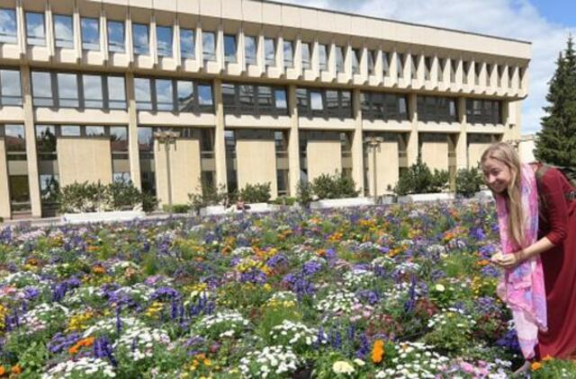 Seimas liks svajonių darbu