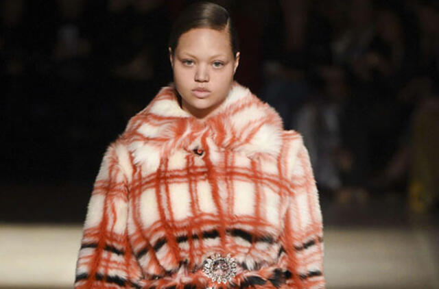 2017 m. ruduo - 2018 m. žiema. Artėjančio sezono spalvos