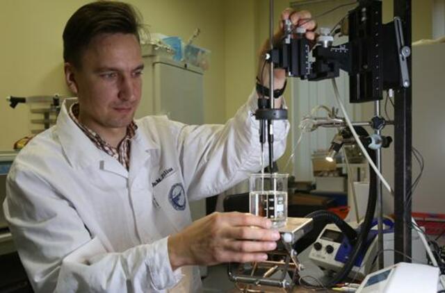 Siekia nustatyti, kas lemia Kuršių marių žydėjimą