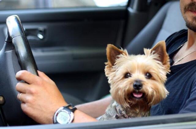 Po Lietuvą su augintiniu: ką reikia žinoti ir aplankyti?