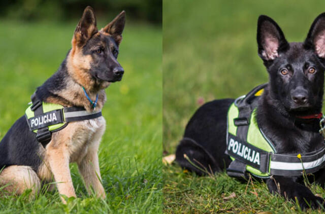 Klaipėdos policijos gretas papildė Koda ir Luna