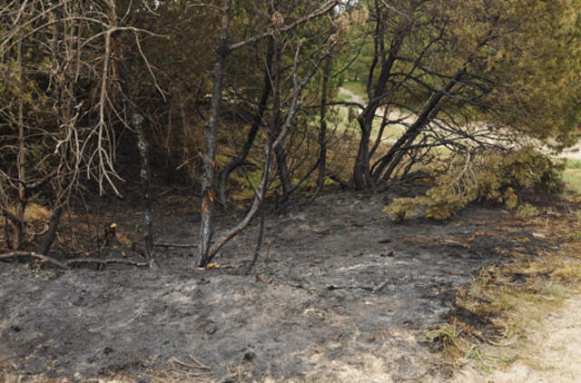 Patuštins piromano piniginę