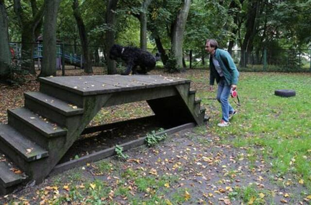 Šunims uostamiestyje nebelieka vietos