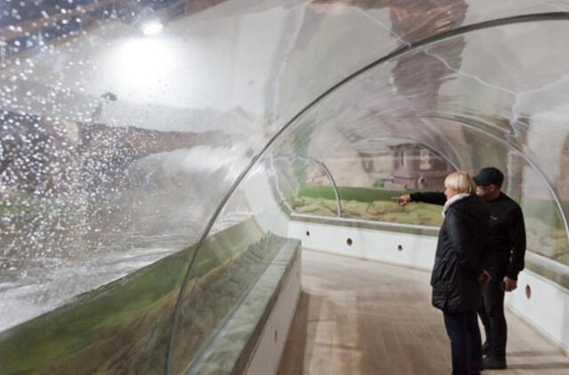 Jūrų muziejus rengiasi akvariumo atidarymui