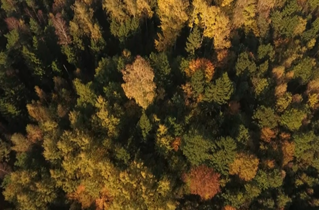 „Skrajojančių ežerų“ regėjimai