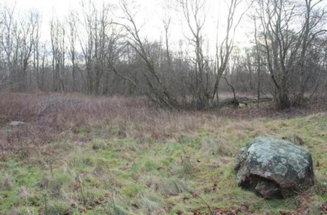 Klaipėda tvarkys savo piliakalnius