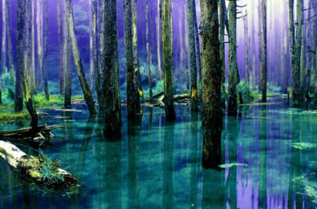 Kam naudingi mitai apie uosto plėtrą?